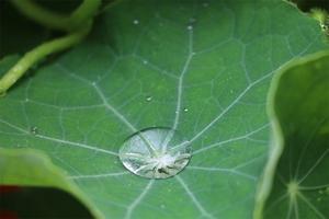 c: Alina Rudolph Stressbewältigung durch Achtsamkeit - MBSR mit Peter Gabis