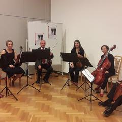 Fiedeltreff Seitenstetten-Haag