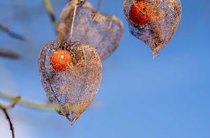 AdobeStock AdobeStock_407934736
