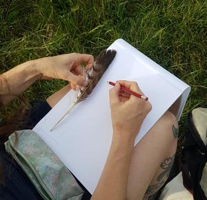  Nature-Journaling-Feder-zeichnen-Ruhe-Achtsamkeit