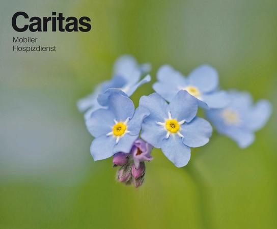  2021_03_19_GB_Lehrgang Caritas Bild