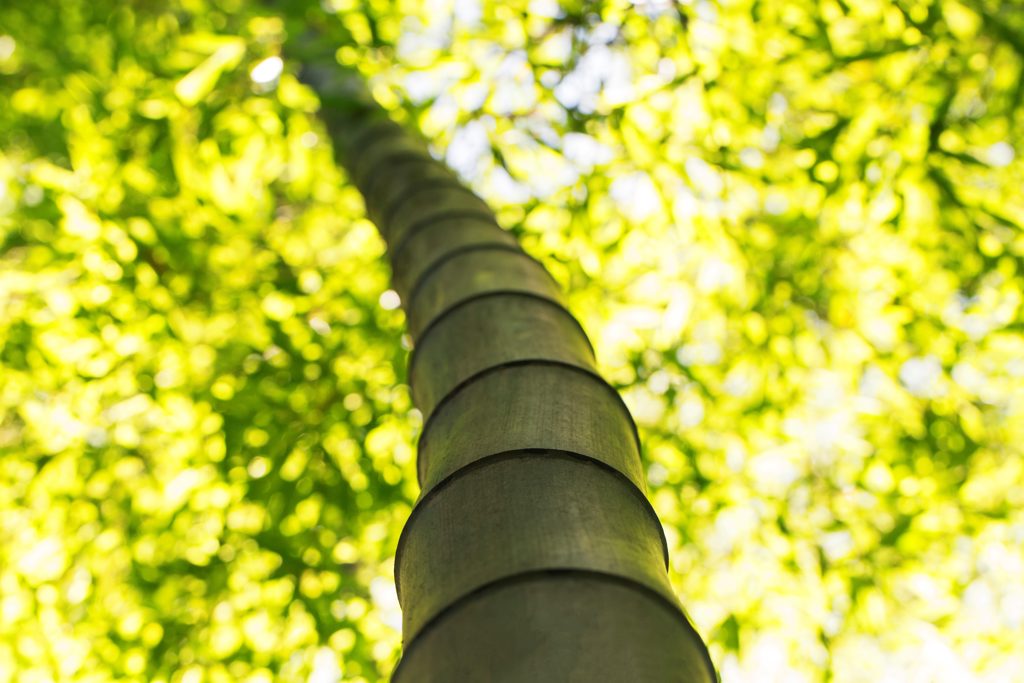 Alina Rudolph Starker Rücken - Weiches Herz | Rückentraining mit Kathrin Andrusko